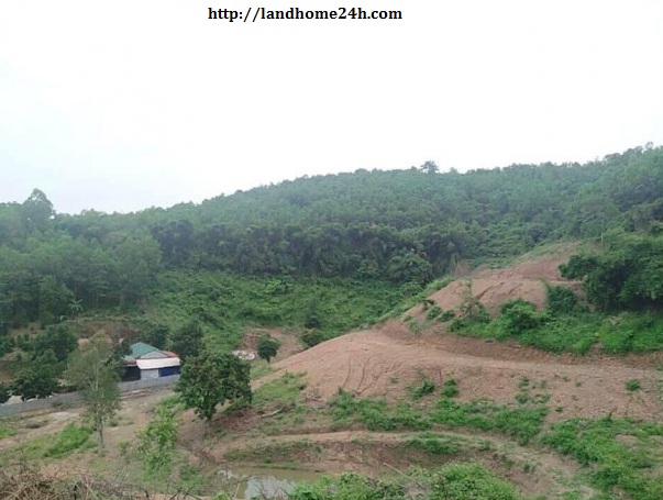 [BÁN NHANH] LÔ ĐẤT NHÀ VƯỜN TUYỆT ĐẸP TẠI TT LƯƠNG SƠN, DIỆN TÍCH 19.300M2