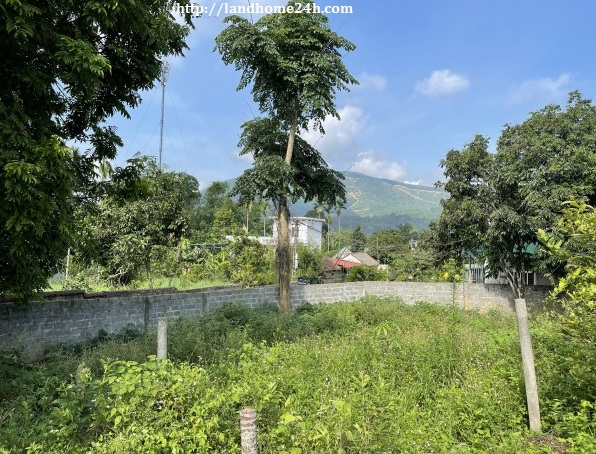 [BÁN GẤP] LÔ ĐẤT NHÀ VƯỜN TIỀM NĂNG TẠI TT LƯƠNG SƠN, DIỆN TÍCH 5.312M2