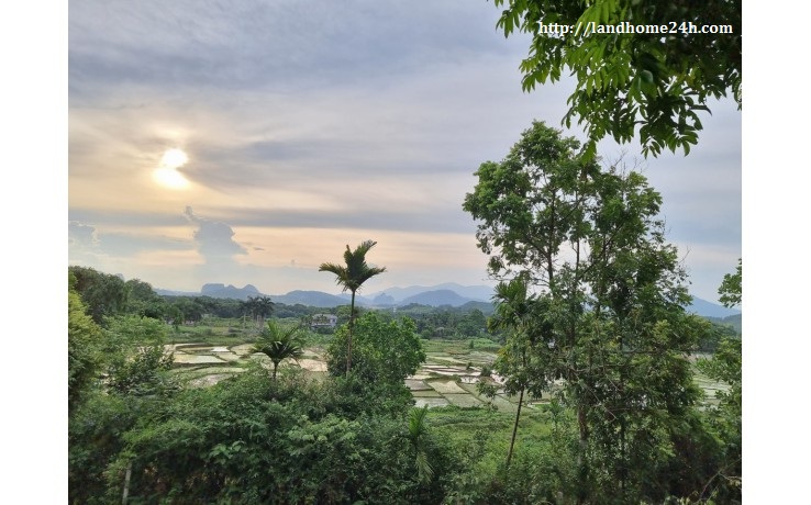 [BÁN NHANH] LÔ ĐẤT NHÀ VƯỜN TUYỆT ĐẸP TẠI CƯ YÊN, DIỆN TÍCH 1.300M2