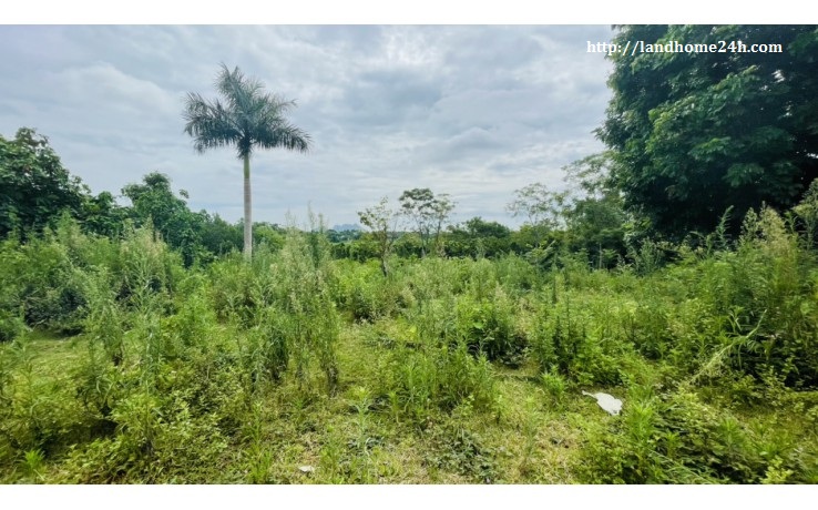 [BÁN GẤP] LÔ ĐẤT NGHỈ DƯỠNG, VIEW CÁNH ĐỒNG TẠI CƯ YÊN, DIỆN TÍCH 2.238M2