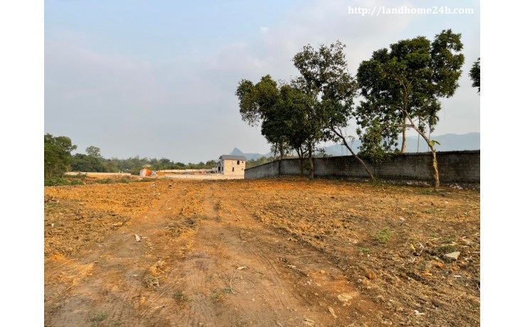 [CHÍNH CHỦ] BÁN NHANH LÔ ĐẤT PHONG CẢNH HỮU TÌNH TẠI CƯ YÊN, DIỆN TÍCH 3.650M2