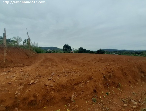 [BÁN NHANH] SIÊU PHẨM NGHỈ DƯỠNG TUYỆT ĐẸP ĐỒNG GỘI - HÒA SƠN, DIỆN TÍCH 6.007M2