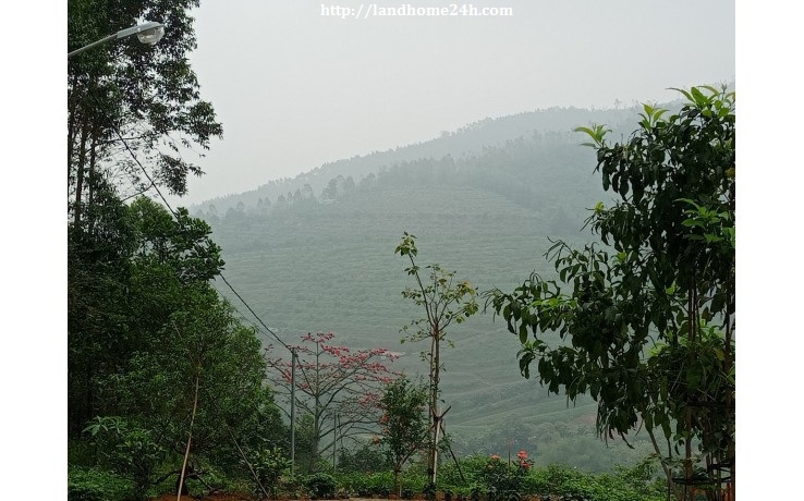 [BÁN NHANH] LÔ ĐẤT RSX TUYỆT ĐẸP TẠI LIÊN SƠN, DIỆN TÍCH 13.241m2, GIÁ “HẠT RẺ”