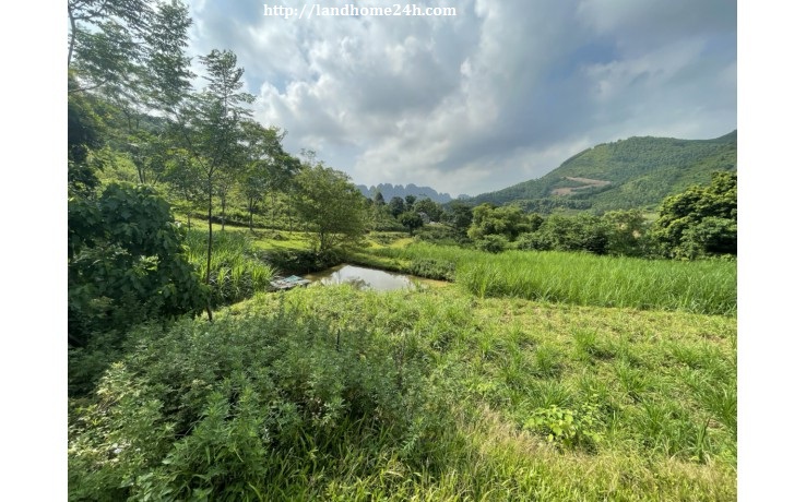 [BÁN GẤP] LÔ ĐẤT SIÊU PHẨN NGHỈ DƯỠNG TUYỆT ĐẸP TẠI LIÊN SƠN, DIỆN TÍCH 5.1HA