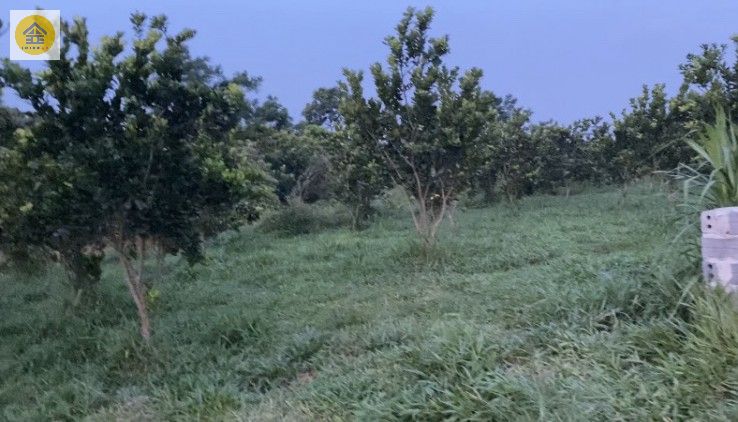 [BÁN GẤP] LÔ ĐẤT NHÀ VƯỜN NGHỈ DƯỠNG TUYỆT ĐẸP, BÁM SUỐI, VIEW CÁNH ĐỒNG NHUẬN TRẠCH, DIỆN TÍCH 1.751M2