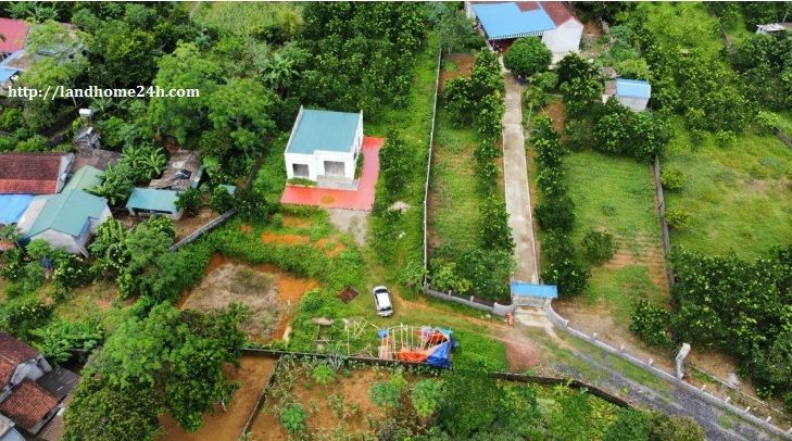 [BÁN NHANH] LÔ NHÀ VƯỜN DỰNG SẴN, PHONG CẢNH HỮU TÌNH TẠI TÂN VINH, DIỆN TÍCH 1.168M2