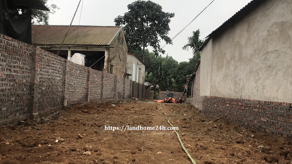 Bán đất chính chủ trục chính Trán Voi, xe container tránh nhau, sổ đỏ, 167m2, giá đầu tư